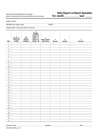 2021 Daily Report Form Fillable Printable Pdf Forms Handypdf Images