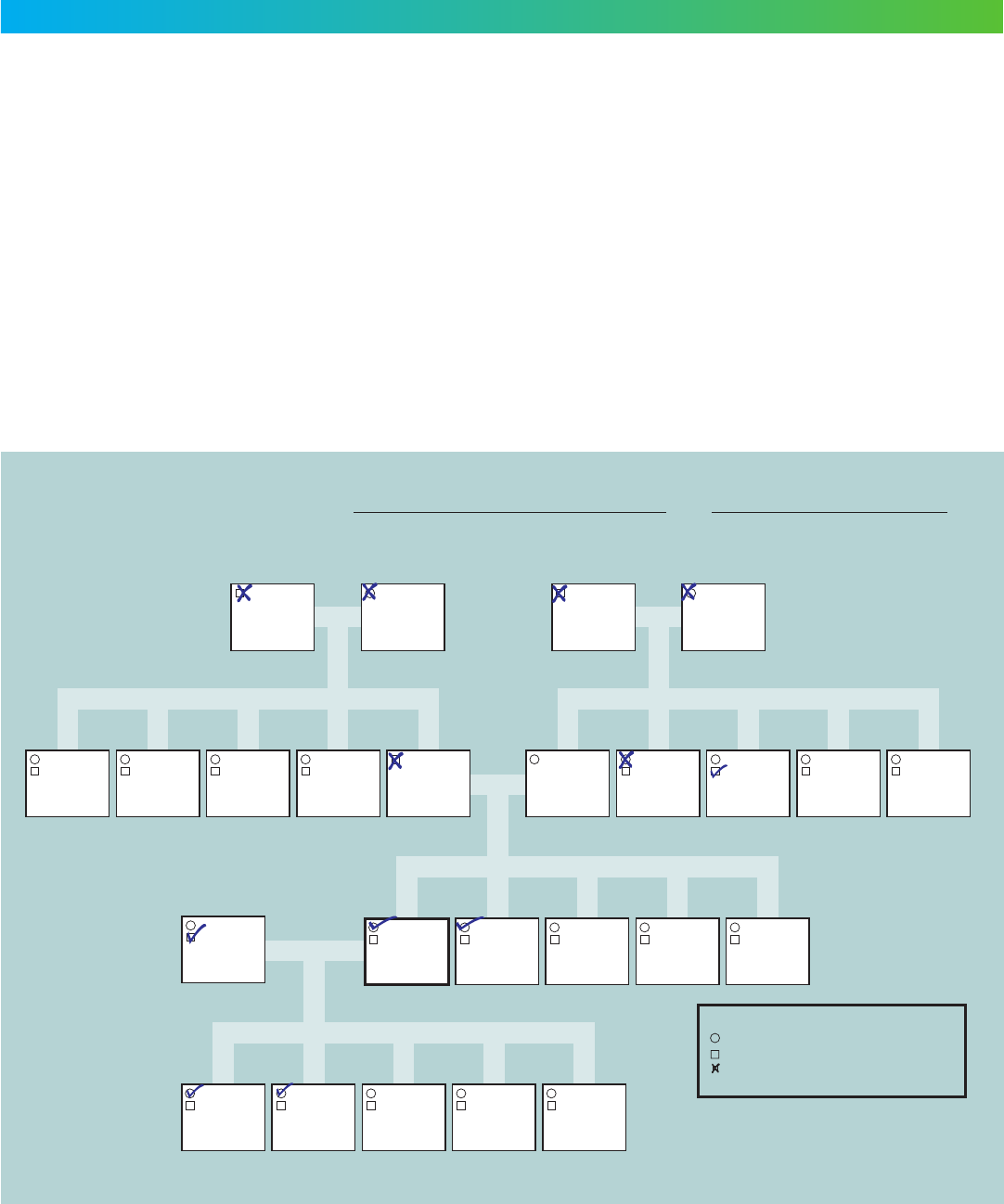 free genogram maker no sign up