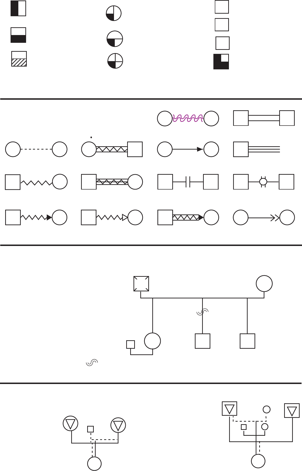 genogram symbols key