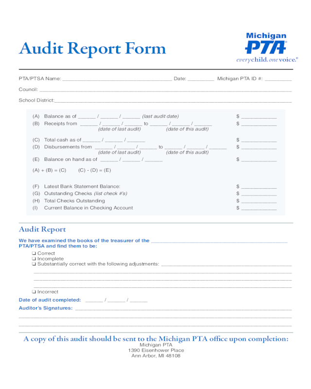 Audit Report Form - Michigan