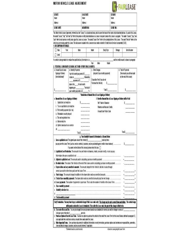 Auto Rental and Lease Sample Form