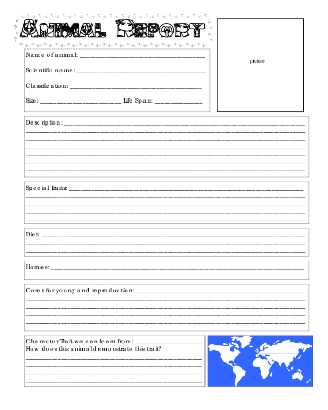 Blank Animal Report Form