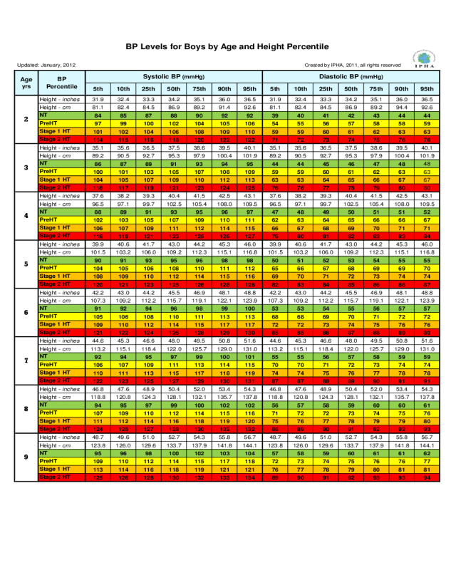 2024 Blood Pressure Chart Fillable Printable PDF Forms Handypdf