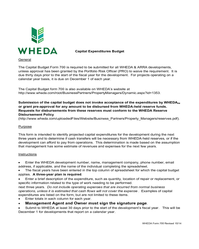 Capital Expenditure Budget Form