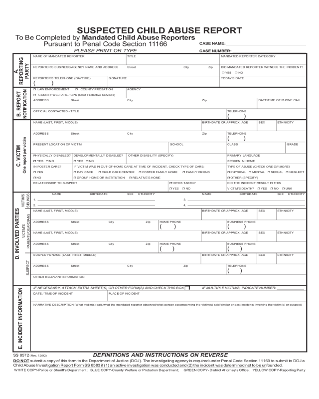 Child Abuse Report Sample Form