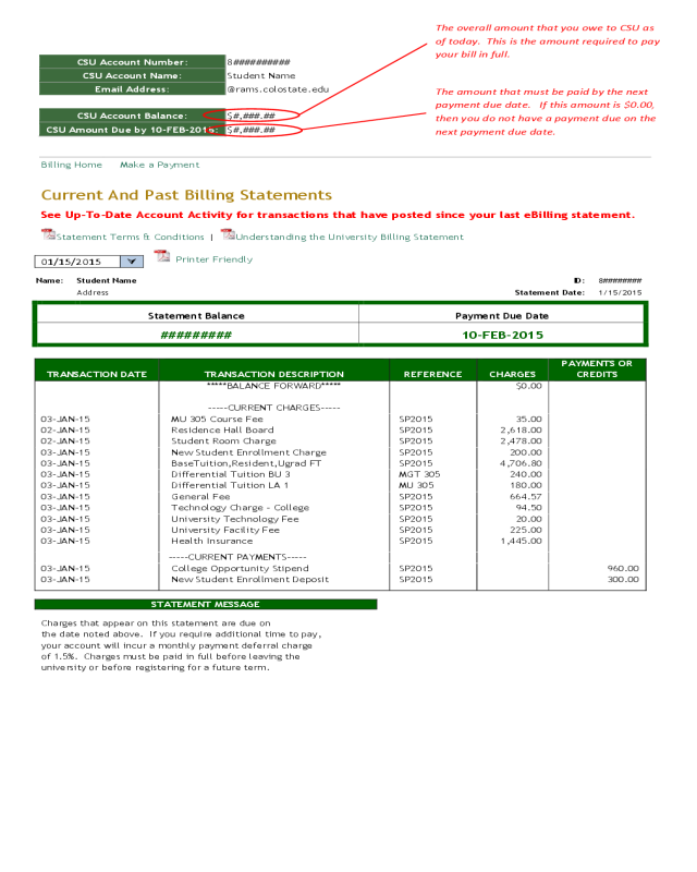 Current and Past Billing Statement Sample