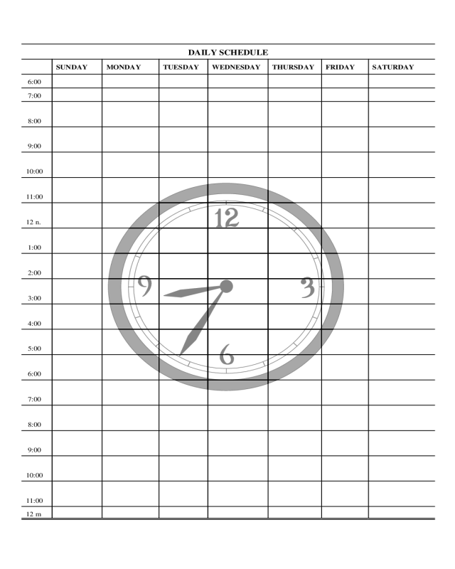 Daily Schedule Form