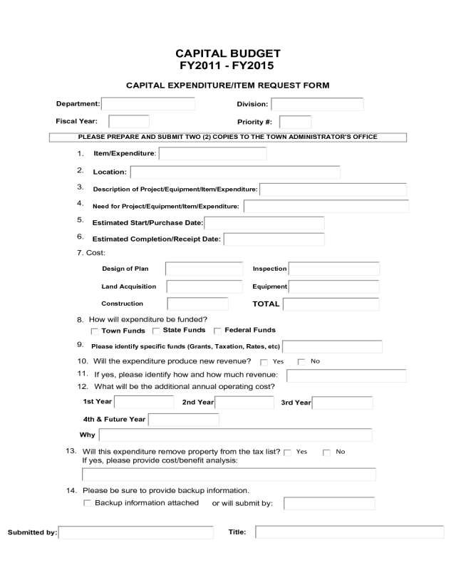 Detailed Capital Budget Form