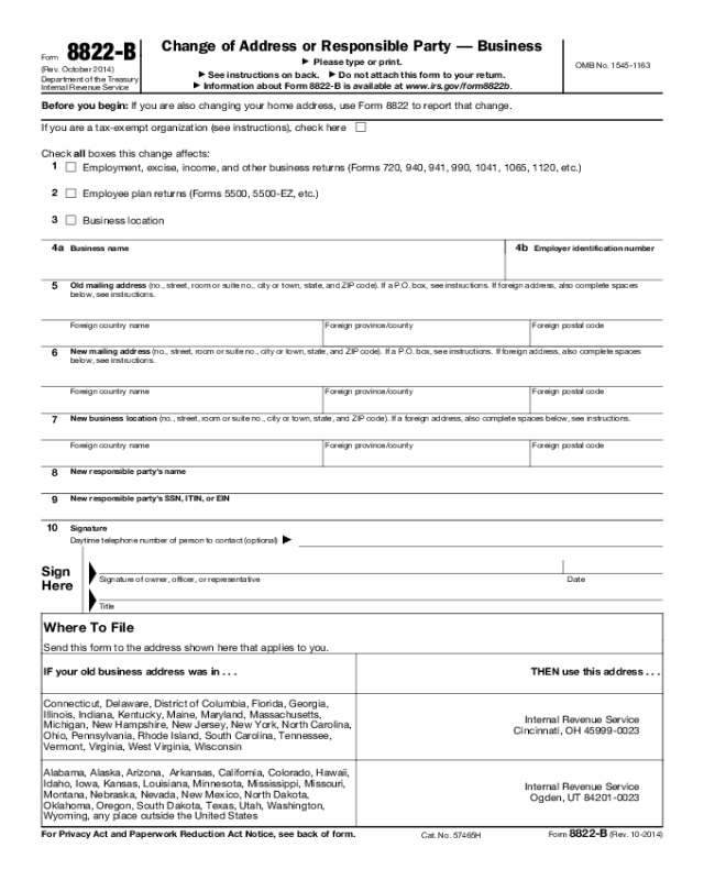 Printable Irs Form W P Printable Forms Free Online Hot Sex Picture 2679