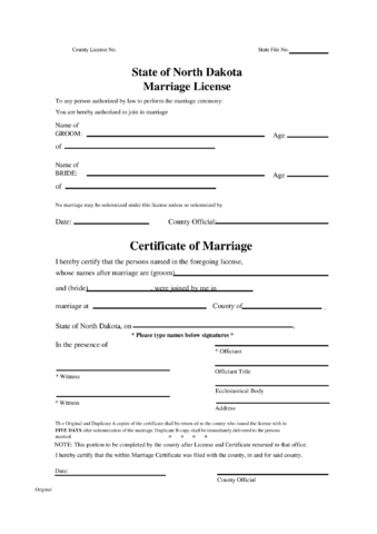 2022 Marriage Certificate Form - Fillable, Printable PDF & Forms | Handypdf