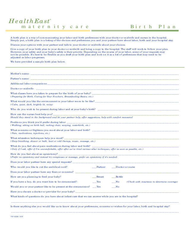 One Page Birth Plan Template