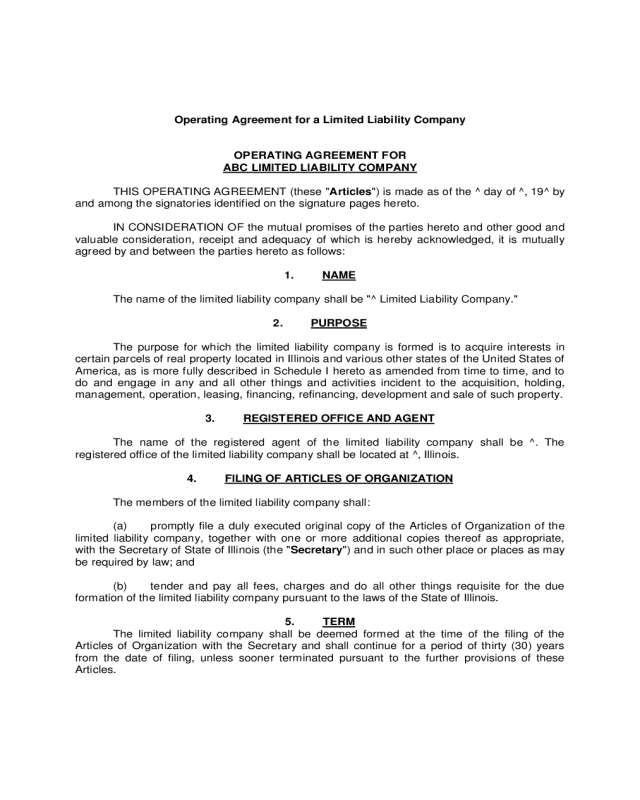 Operating Agreement Example for LLCs