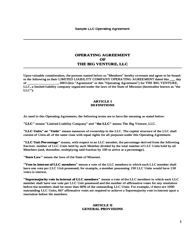 Operating Agreement of the Big Venture, LLC