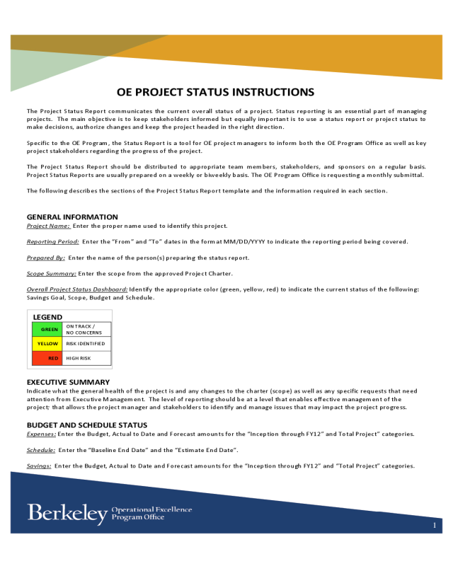 Project Status Report Instructions