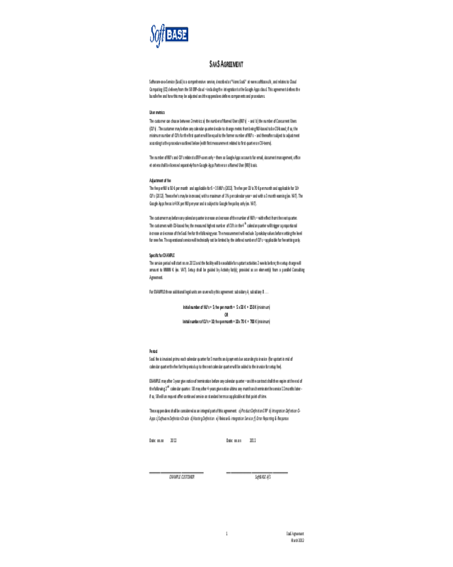 2024 SaaS Contract Template Fillable Printable PDF Forms Handypdf