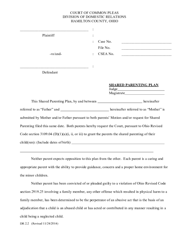 Shared Parenting Plan Ohio Edit Fill Sign Online Handypdf