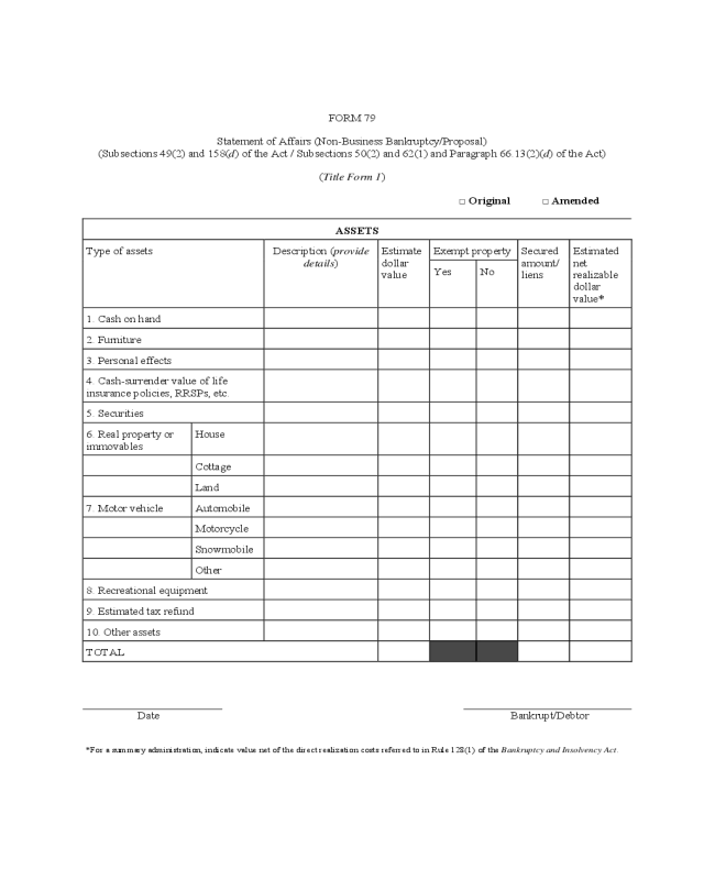 Statement of Affairs Sample Form