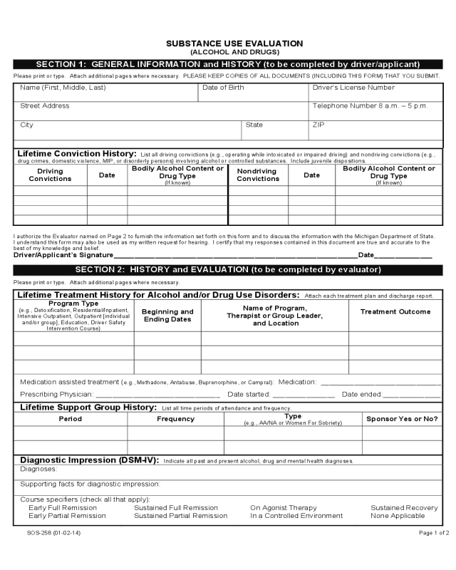 Substance Abuse Evaluation Form - Michigan