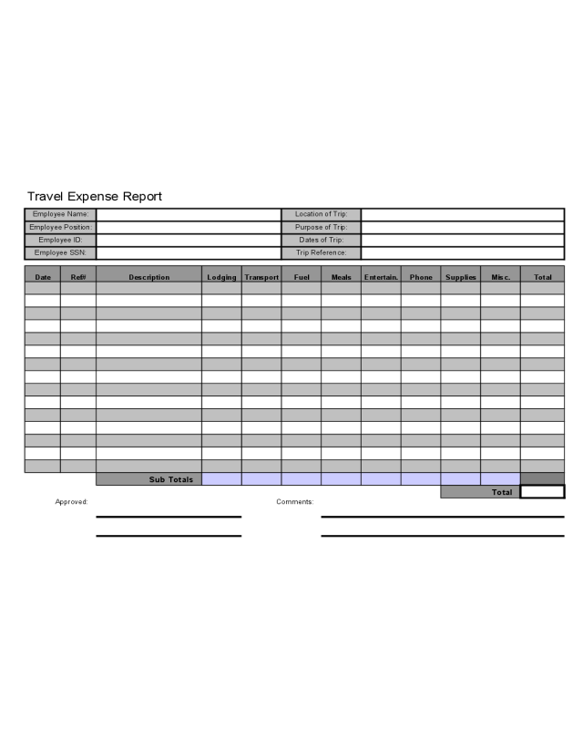 Travel Expense Report Form