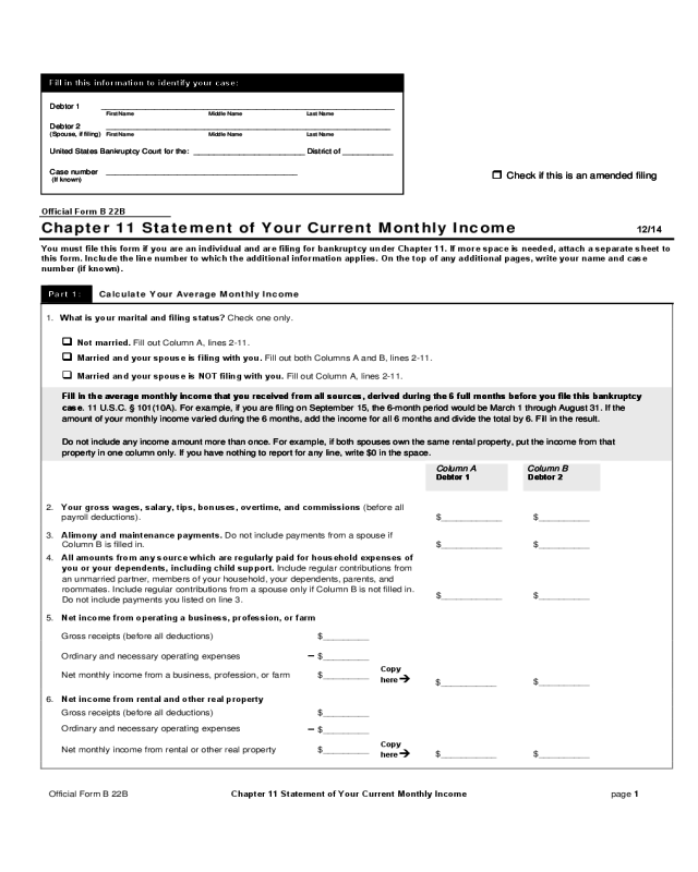 Your Current Monthly Statement Income Form
