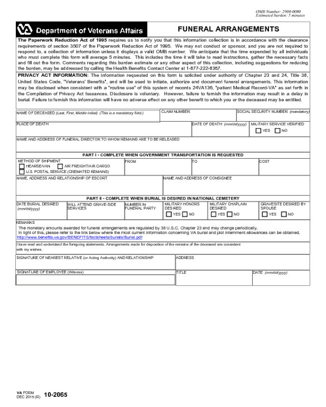 VA Form 10-2065
