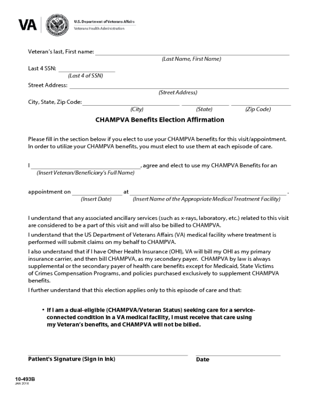 VA Form 10-493b