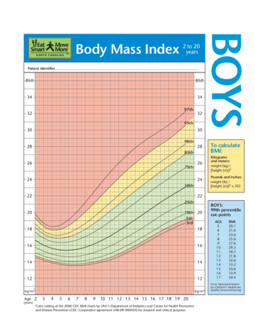 BMI Chart（Boy） - Edit, Fill, Sign Online | Handypdf