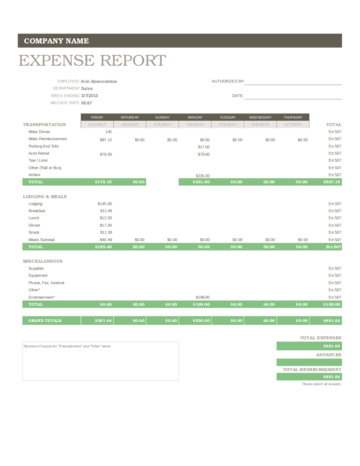 Expense Report Forms Free - Edit, Fill, Sign Online | Handypdf