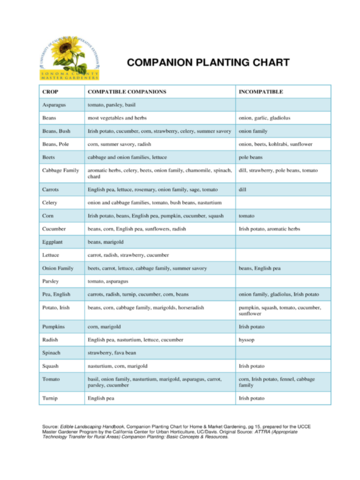 2024 Companion Planting Chart - Fillable, Printable PDF & Forms | Handypdf