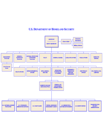 2024 DHS Organizational Chart - Fillable, Printable PDF & Forms | Handypdf