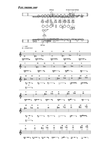 2024 Flute Fingering Chart Template - Fillable, Printable PDF & Forms ...