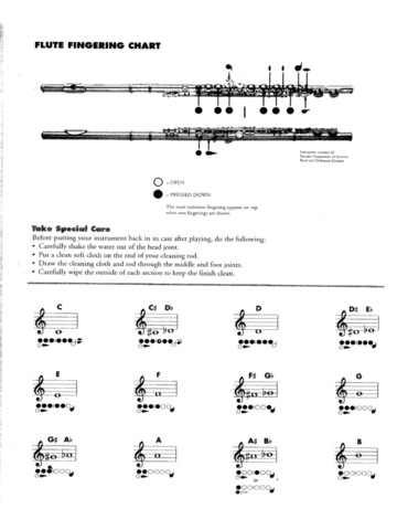 2024 Flute Fingering Chart Template - Fillable, Printable PDF & Forms ...