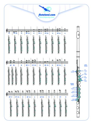 2024 Flute Fingering Chart Template - Fillable, Printable PDF & Forms ...