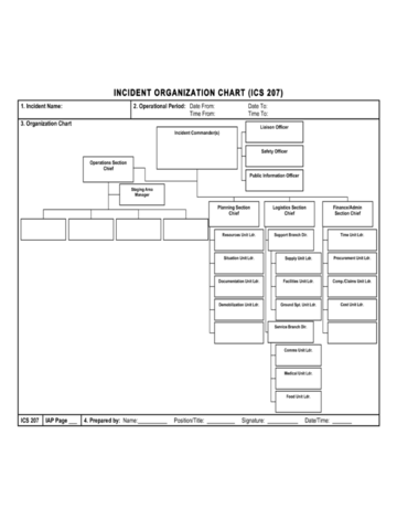 2024 ICS Organizational Chart - Fillable, Printable PDF & Forms | Handypdf