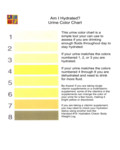 2024 Color Chart - Fillable, Printable PDF & Forms | Handypdf