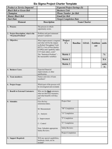 2024 Six Sigma Project Charter Template - Fillable, Printable PDF ...