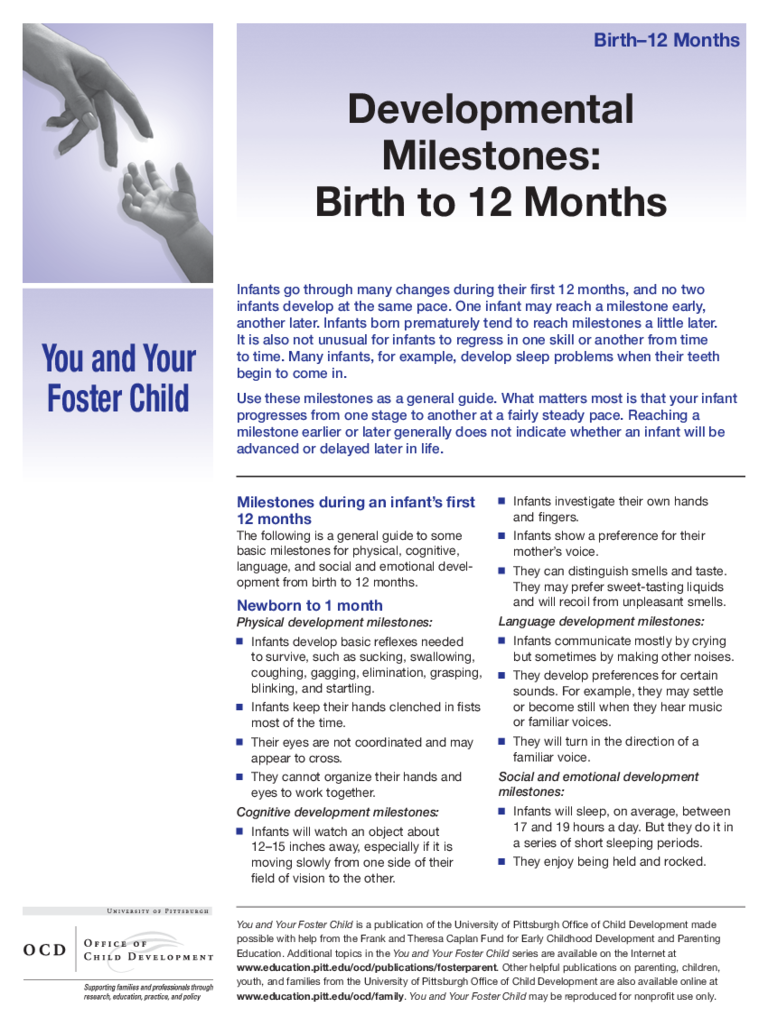 Baby Developmental Milestones Chart - Birth to 12 Months