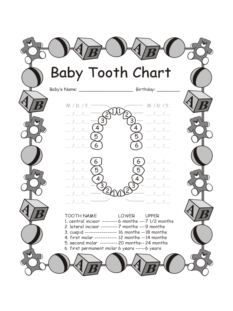 Baby Tooth Chart