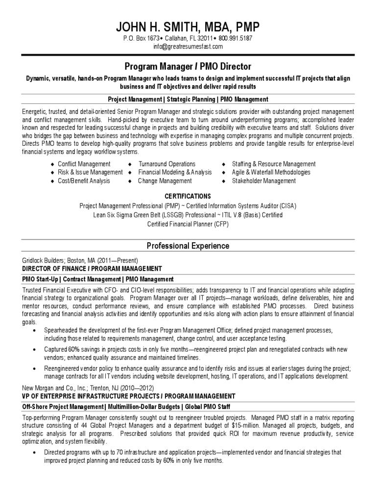 Basic Project Manager CV Template