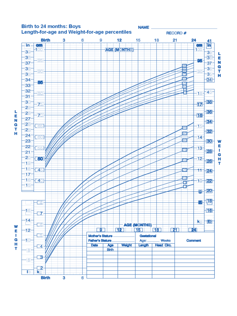 Birth to 24 Months Boys Baby Weight Chart