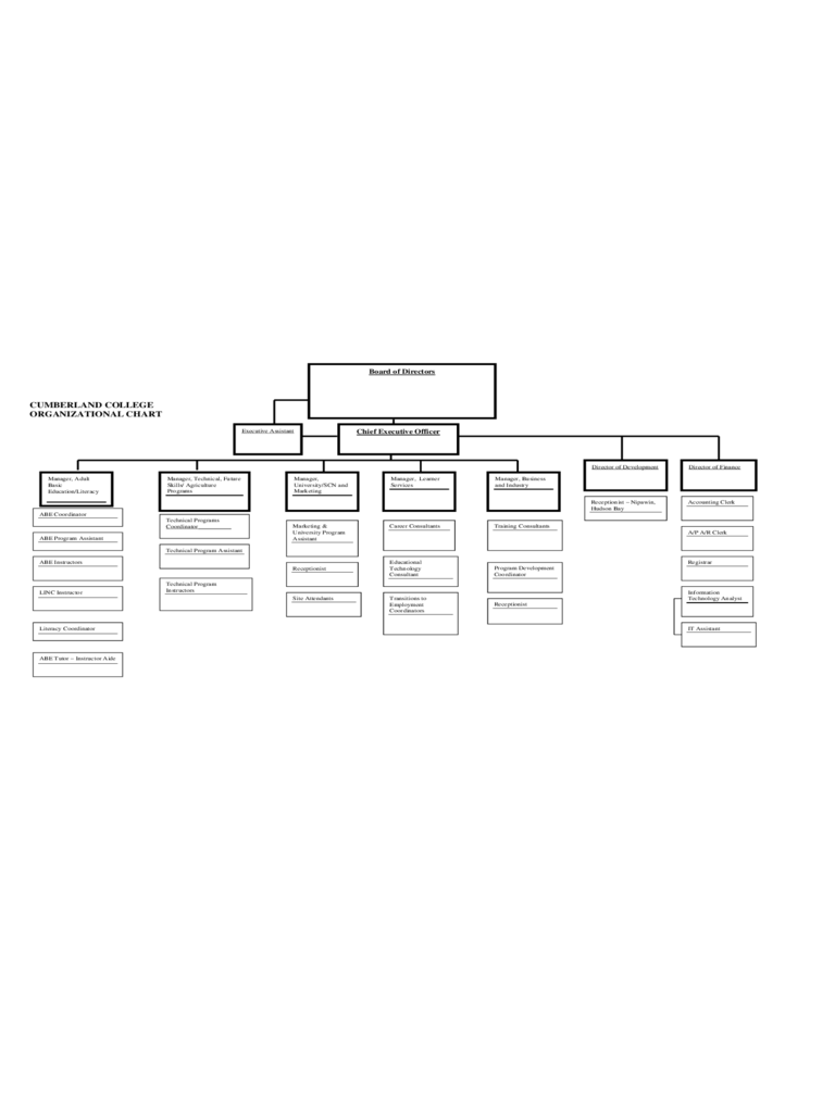 2021 Blank Organizational Chart Fillable, Printable PDF
