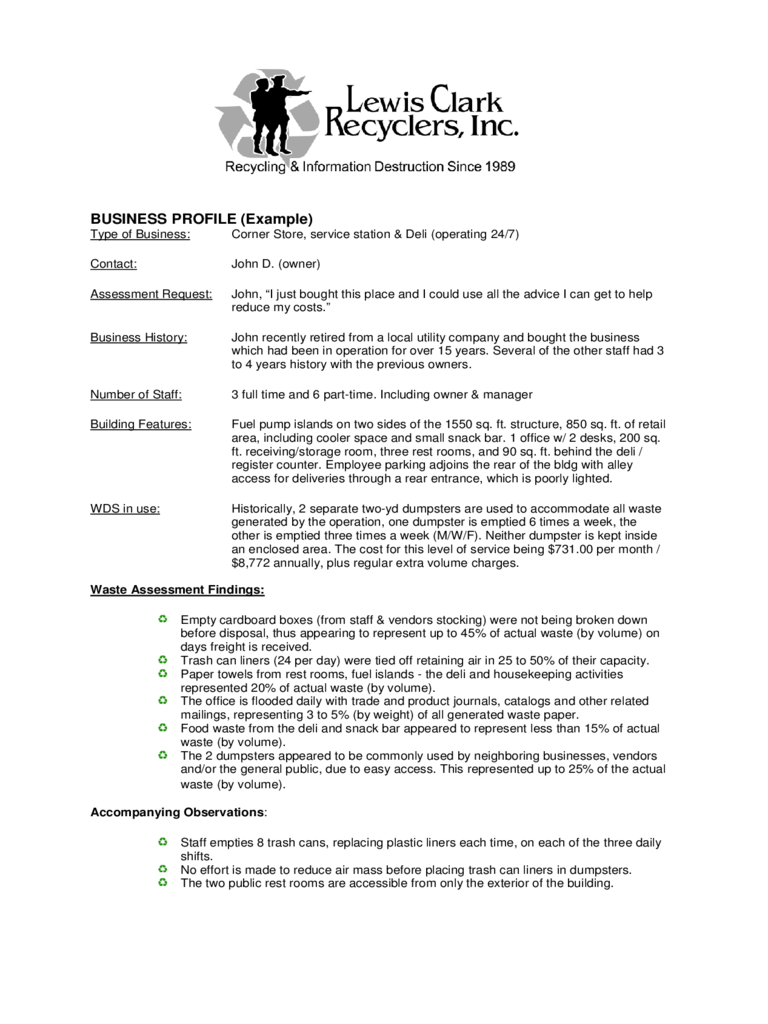 2023-business-profile-template-fillable-printable-pdf-forms-handypdf