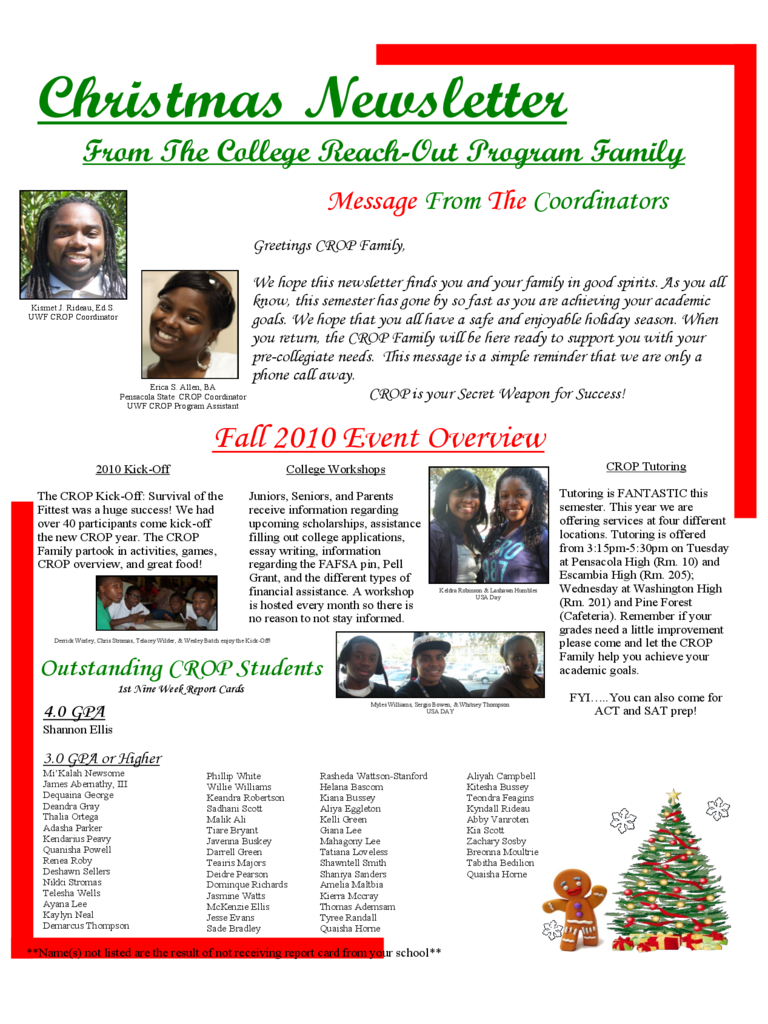 Christmas Newsletter Sample