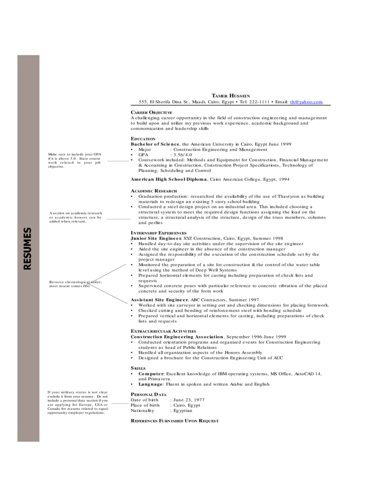 Chronological Resume Examples