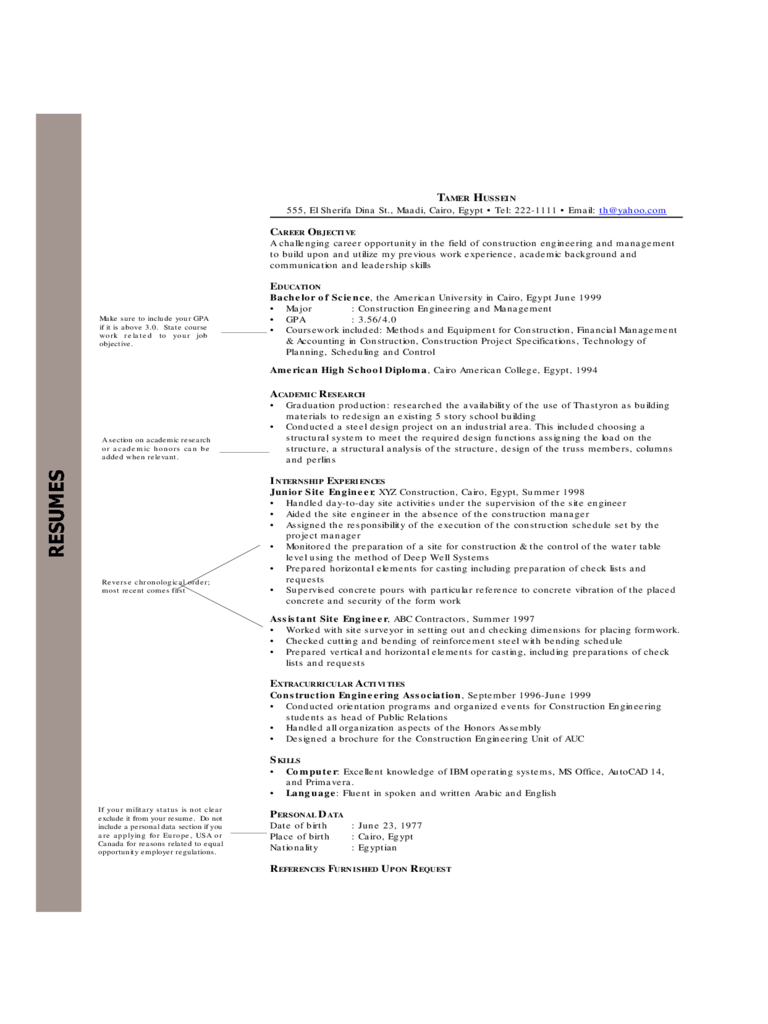 2023 Chronological Resume Template Fillable Printable Pdf And Forms Porn Sex Picture 8592