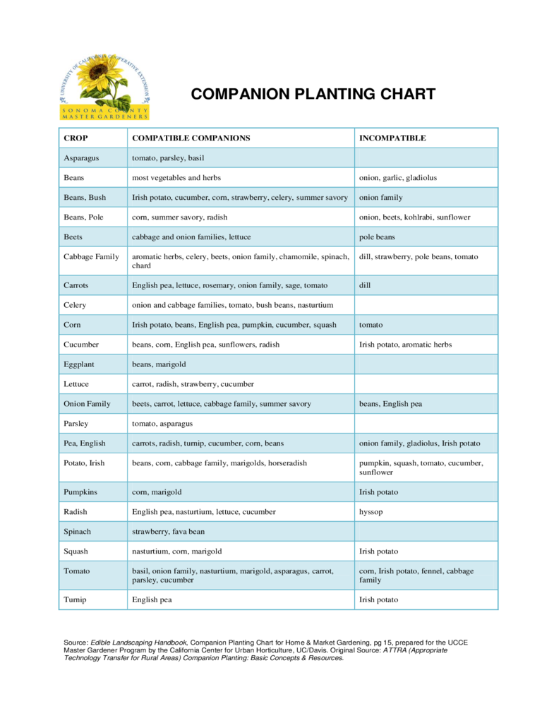 2024 Companion Planting Chart Fillable, Printable PDF & Forms Handypdf