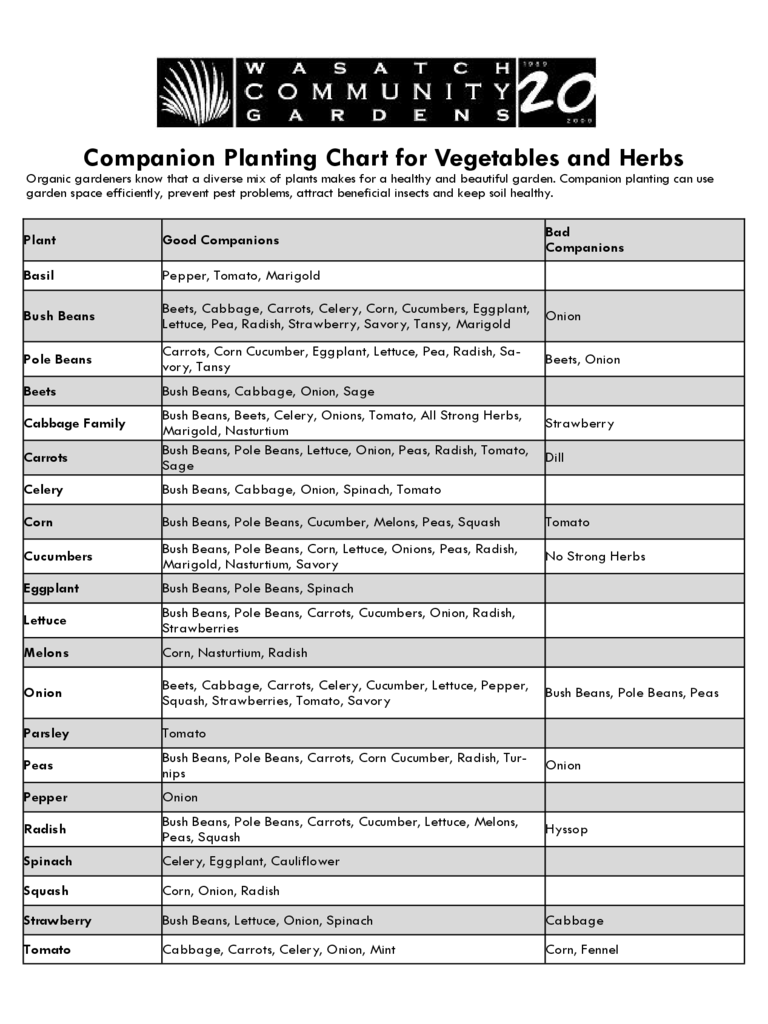 Companion Planting Chart for Vegetables and Herbs