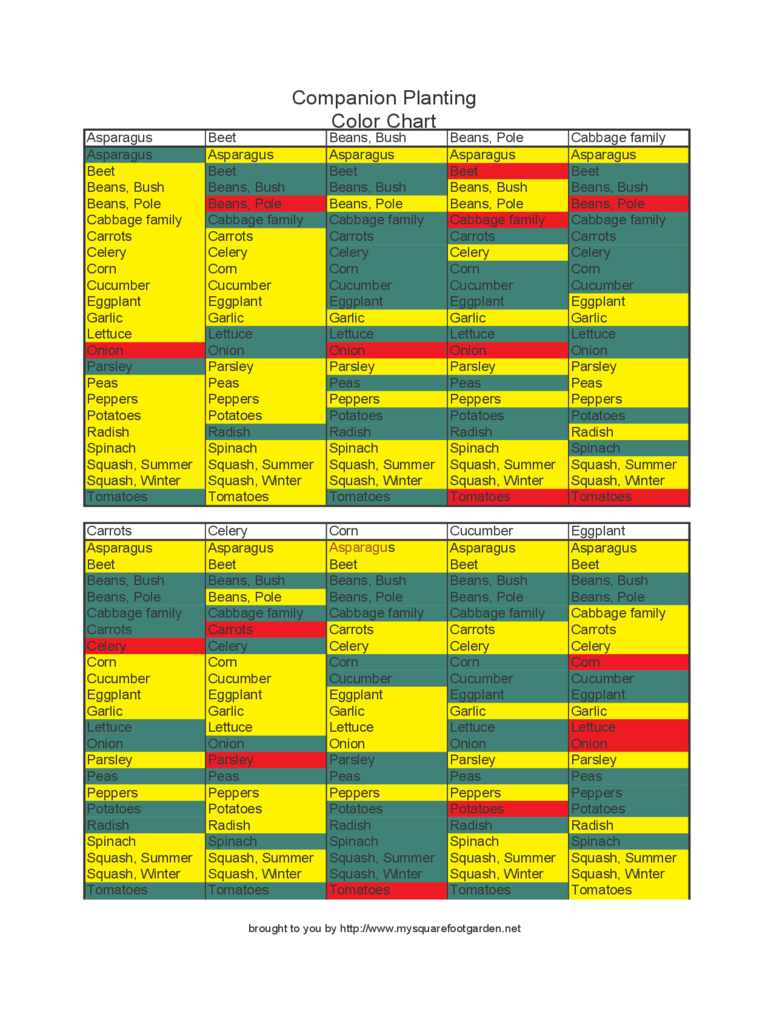 2023-companion-planting-chart-fillable-printable-pdf-forms-handypdf