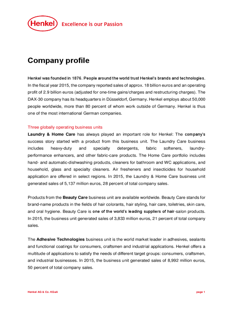 Company Profile Example