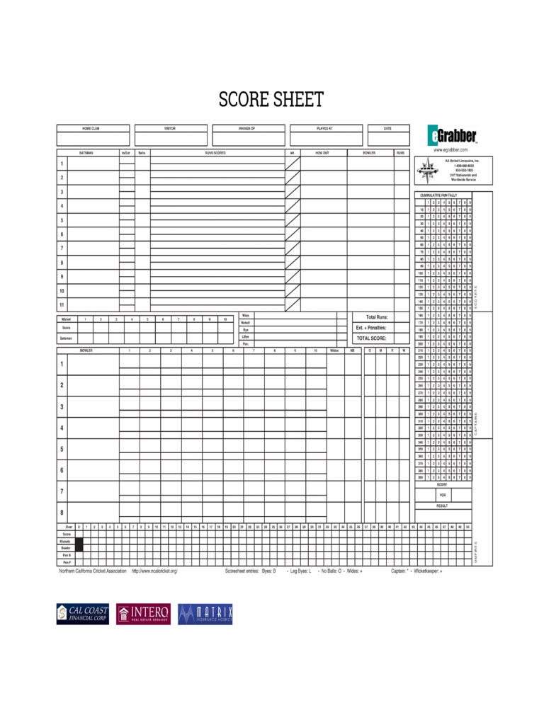 cricket team score sheet pdf